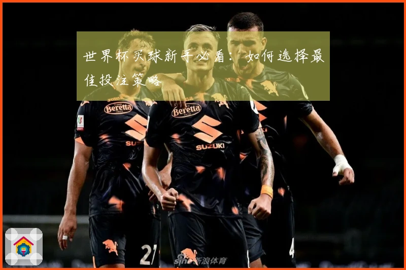 世界杯买球新手必看：如何选择最佳投注策略
