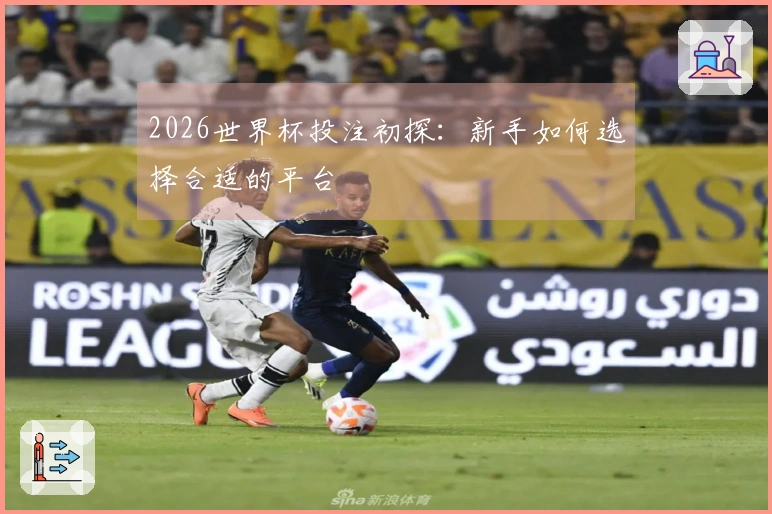 2026世界杯投注初探：新手如何选择合适的平台