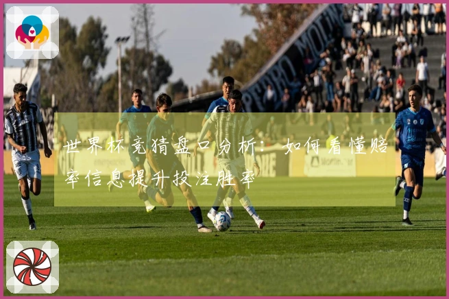 世界杯竞猜盘口分析：如何看懂赔率信息提升投注胜率