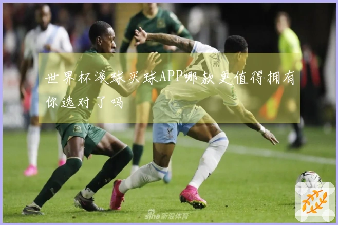 世界杯滚球买球APP哪款更值得拥有你选对了吗
