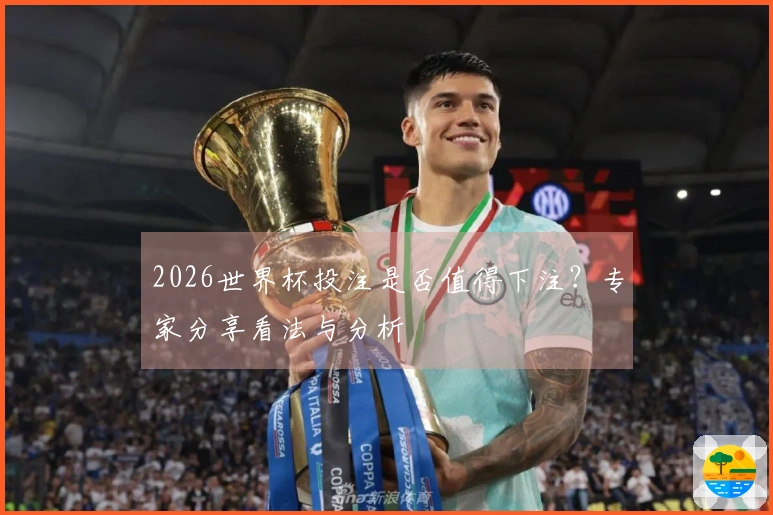 2026世界杯投注是否值得下注？专家分享看法与分析