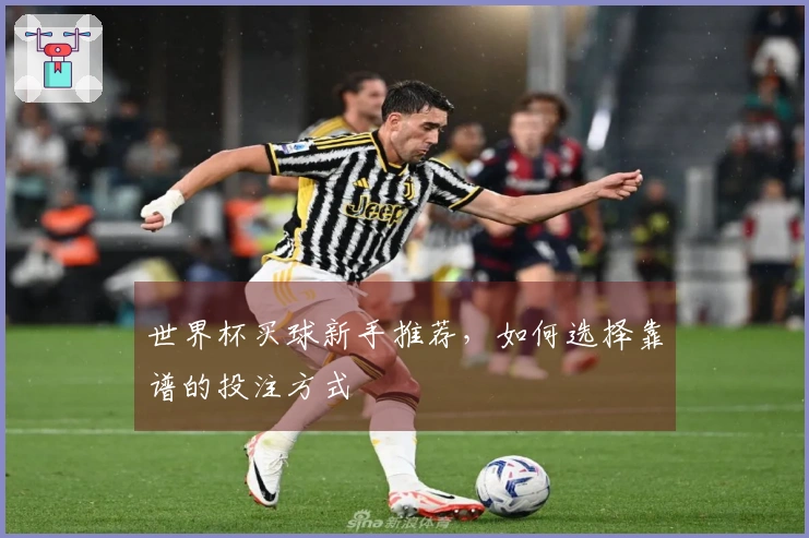 世界杯买球新手推荐，如何选择靠谱的投注方式
