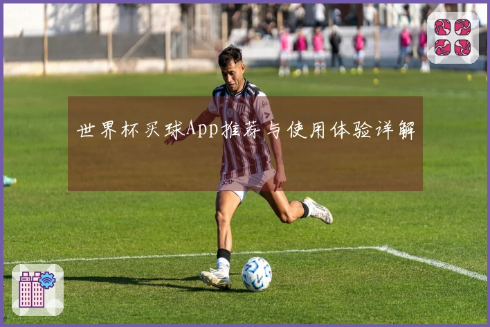 世界杯买球App推荐与使用体验详解