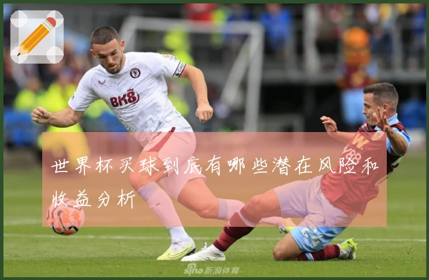 世界杯买球到底有哪些潜在风险和收益分析