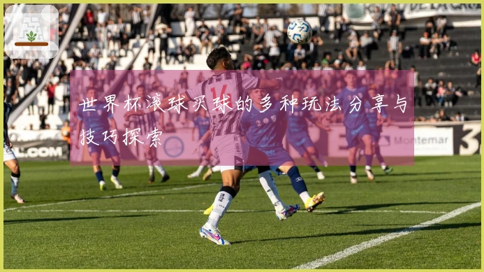 世界杯滚球买球的多种玩法分享与技巧探索