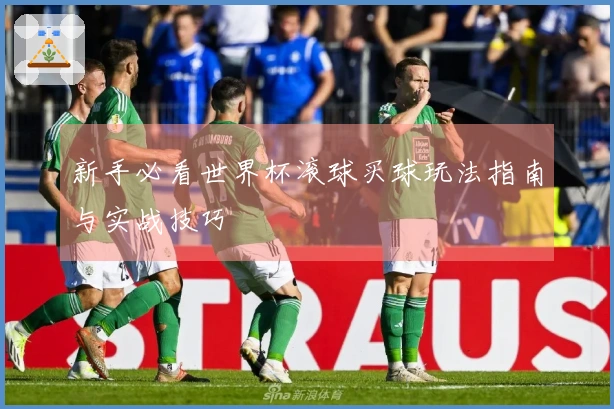 新手必看世界杯滚球买球玩法指南与实战技巧