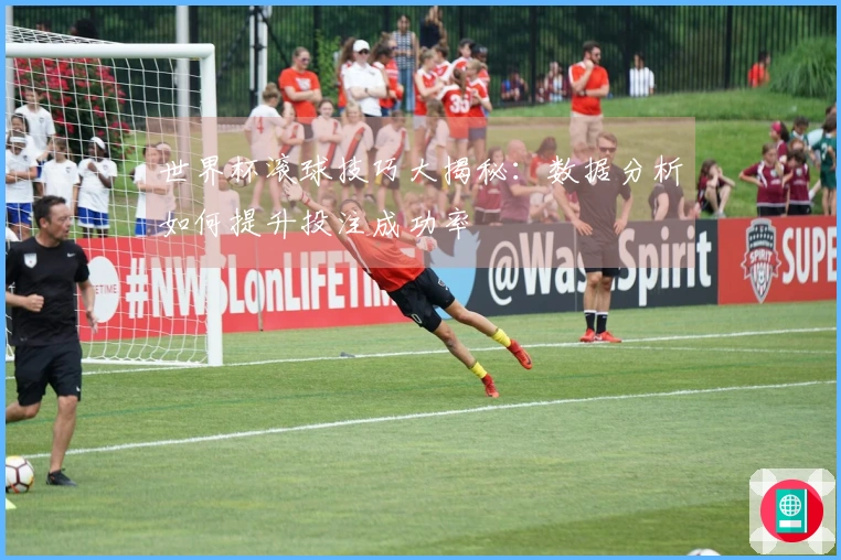世界杯滚球技巧大揭秘：数据分析如何提升投注成功率