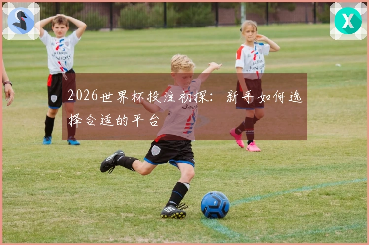 2026世界杯投注初探：新手如何选择合适的平台