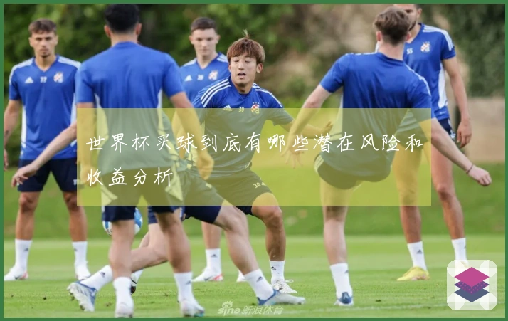 世界杯买球到底有哪些潜在风险和收益分析