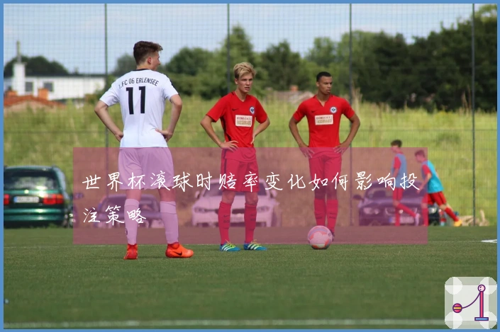世界杯滚球时赔率变化如何影响投注策略