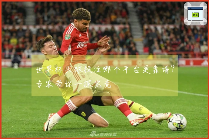 世界杯买球投注哪个平台更靠谱？专家带你一探究竟